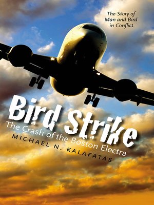 cover image of Bird Strike